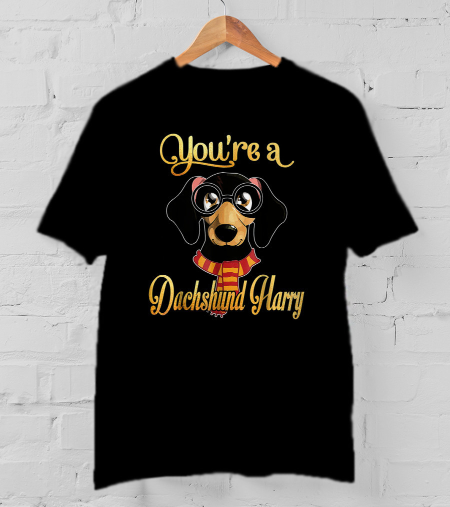 You're A Dachshund Harry Dog With Glasses And Scarf Potter T-Shirt