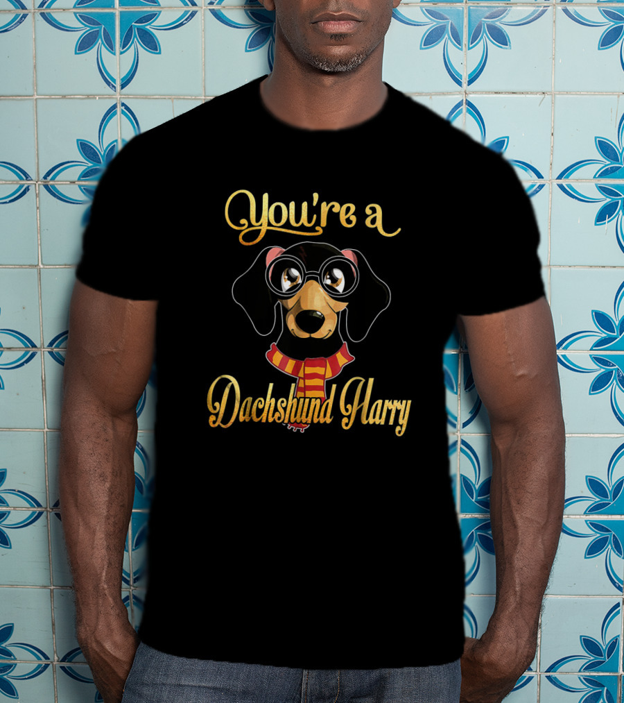 You're A Dachshund Harry Dog With Glasses And Scarf Potter T-Shirt