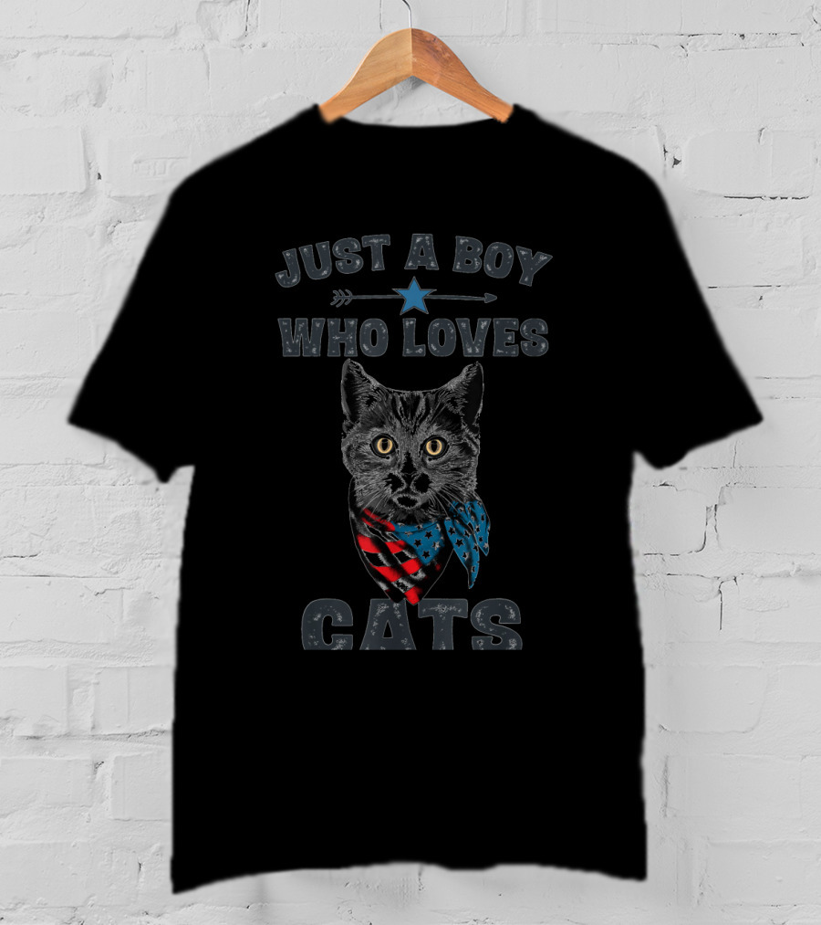 Just A Boy Who Loves Cats Patriotic Vintage Cat Lover T-Shirt
