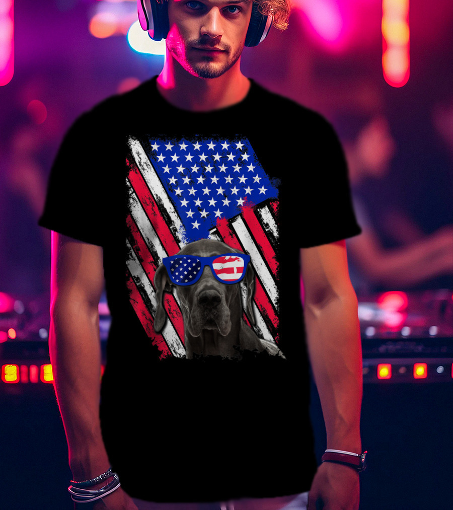Vintage Distressed Great Dane With American USA Flag Sunglasses T-Shirt