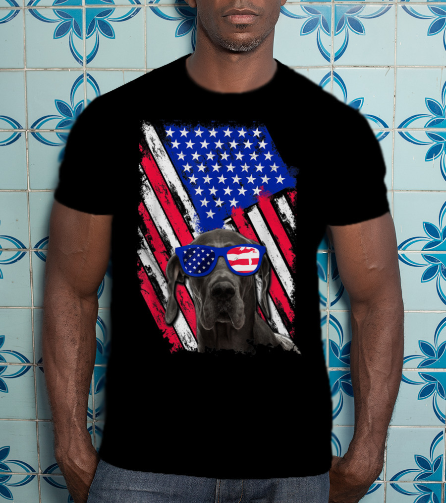 Vintage Distressed Great Dane With American USA Flag Sunglasses T-Shirt