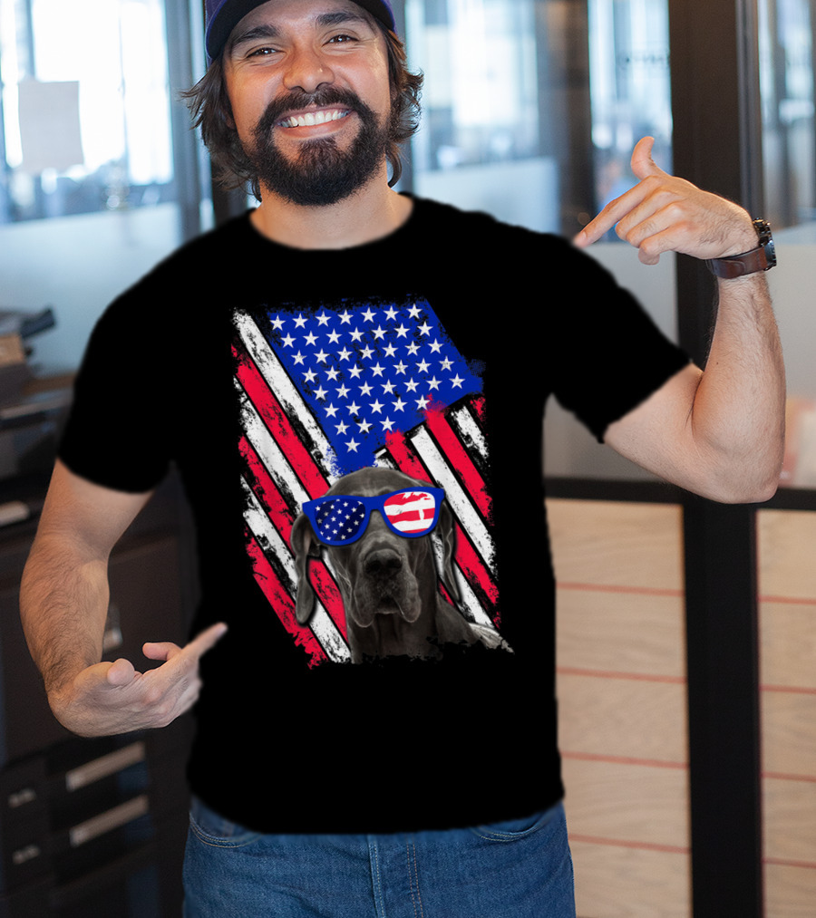 Vintage Distressed Great Dane With American USA Flag Sunglasses T-Shirt