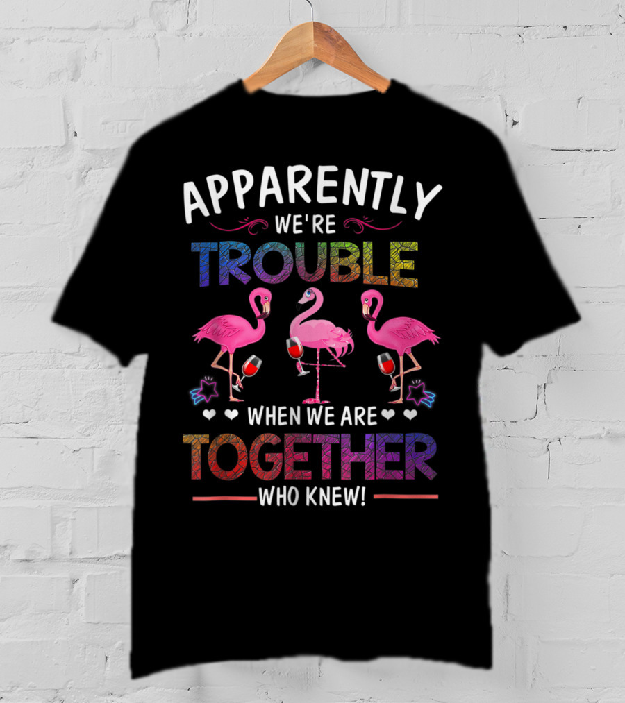 Apparently We're Trouble When We Are Together Who Knew Flamingo Wine Glass Party T-Shirt