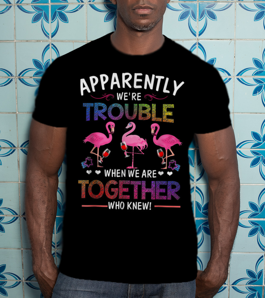 Apparently We're Trouble When We Are Together Who Knew Flamingo Wine Glass Party T-Shirt
