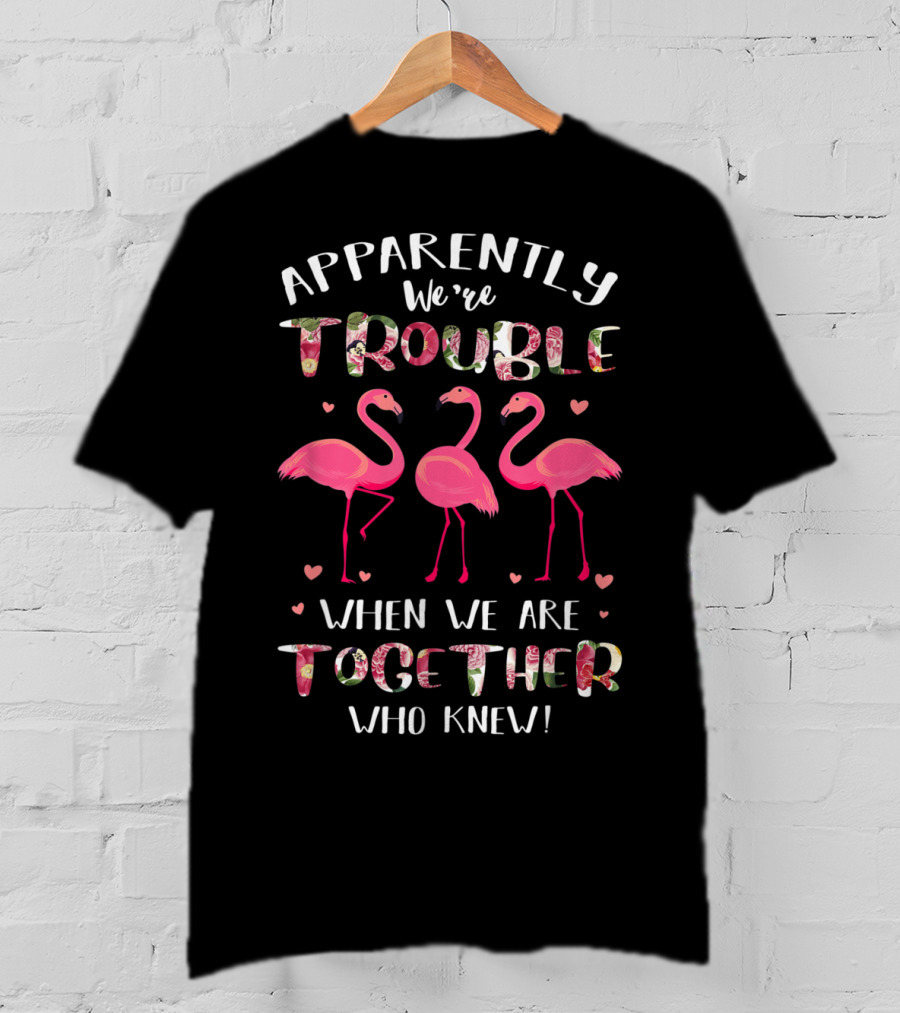 Apparently We're Trouble When We Are Together Flamingo Who Knew T-Shirt
