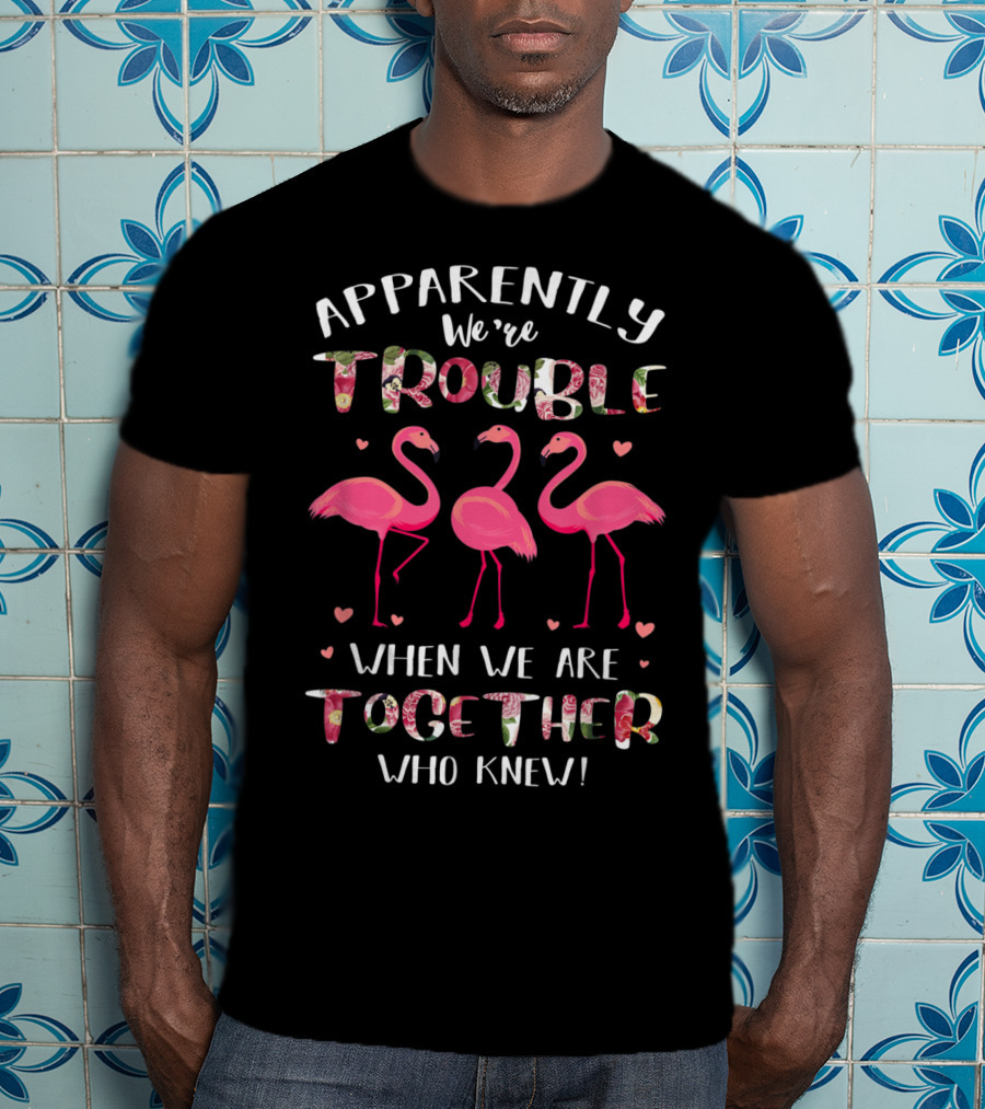 Apparently We're Trouble When We Are Together Flamingo Who Knew T-Shirt