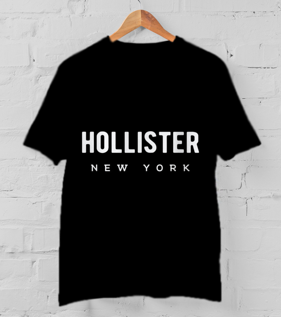 Hollister New York State Pride Family Friend Group T-Shirt