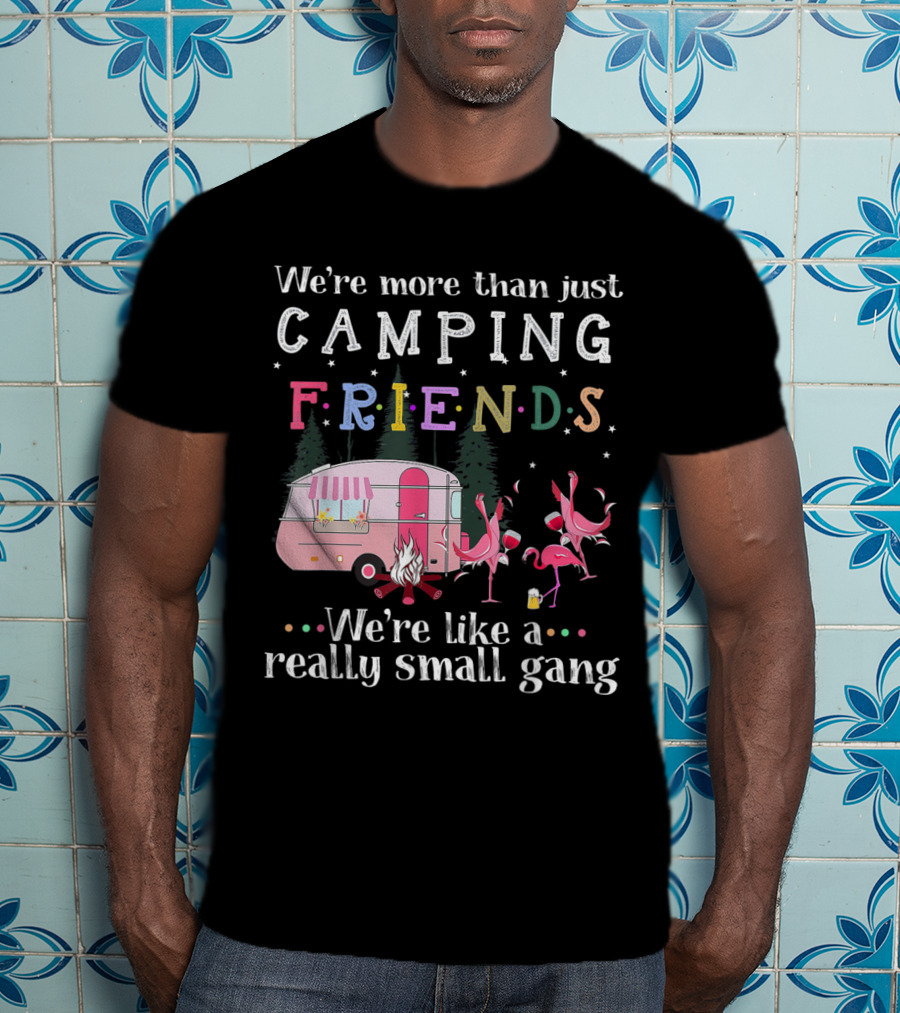 We're More Than Just Camping Friends Flamingo Like A Really Small Gang T-Shirt