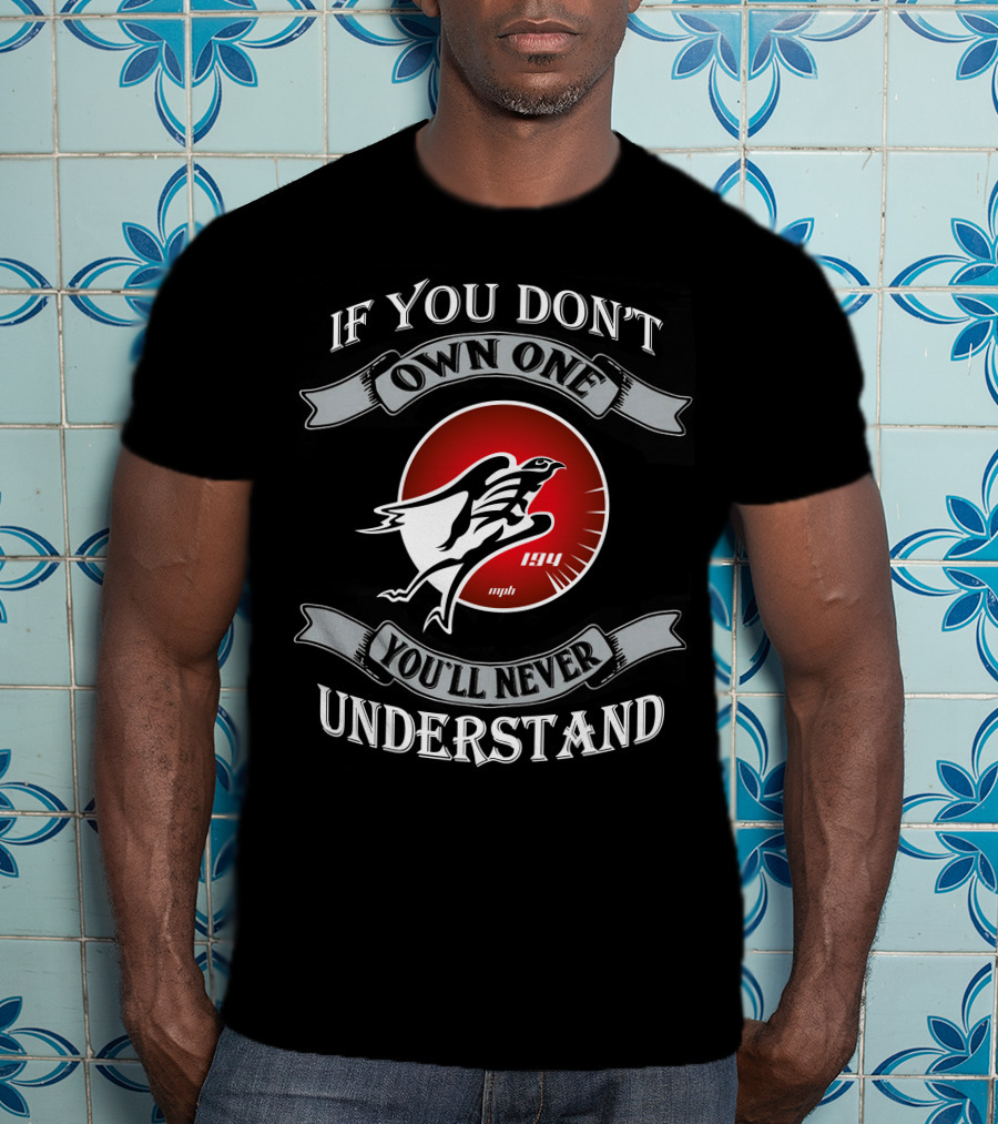 If You Don't Own One You'll Never Understand Hayabusa 194 Mph T-Shirt
