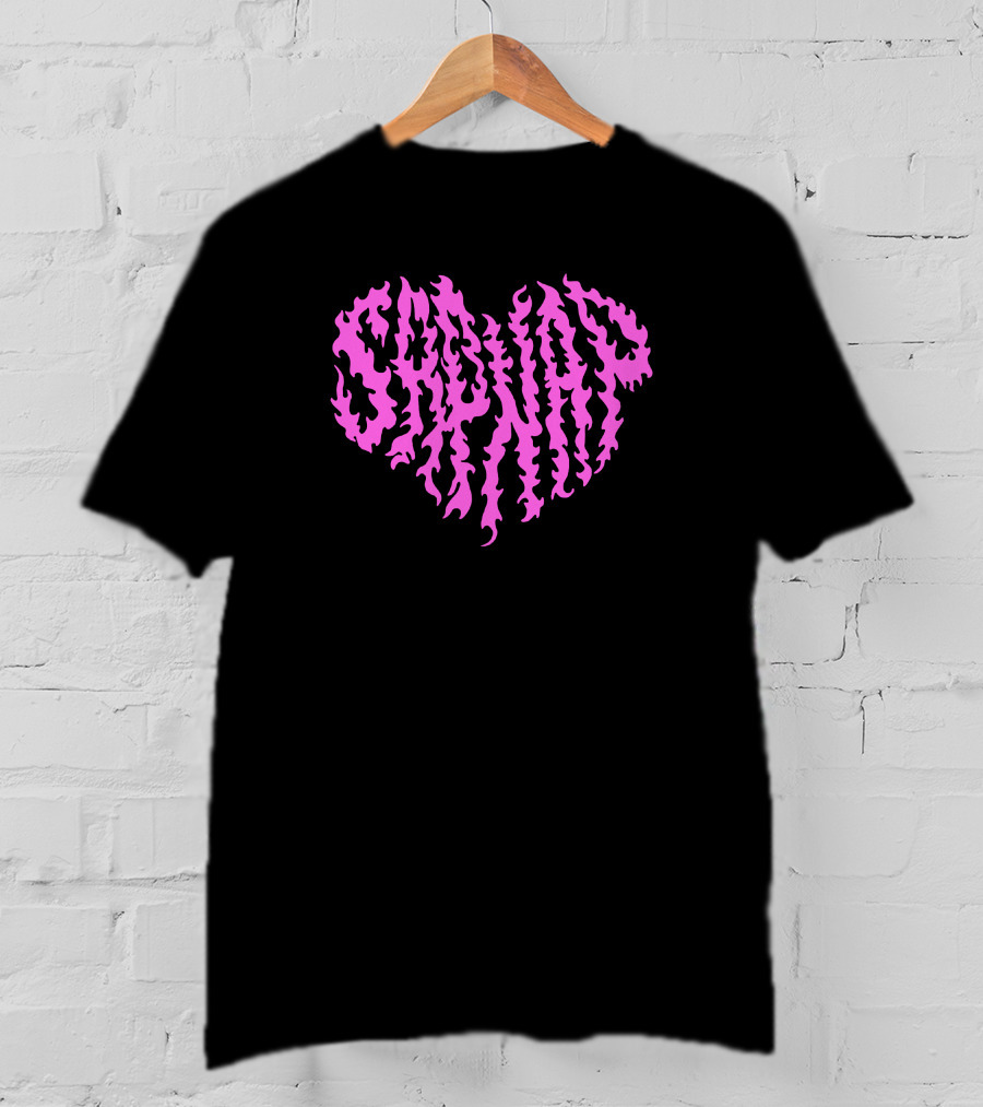 Sapnap Pink Flame Heart Valentine Merch T-Shirt