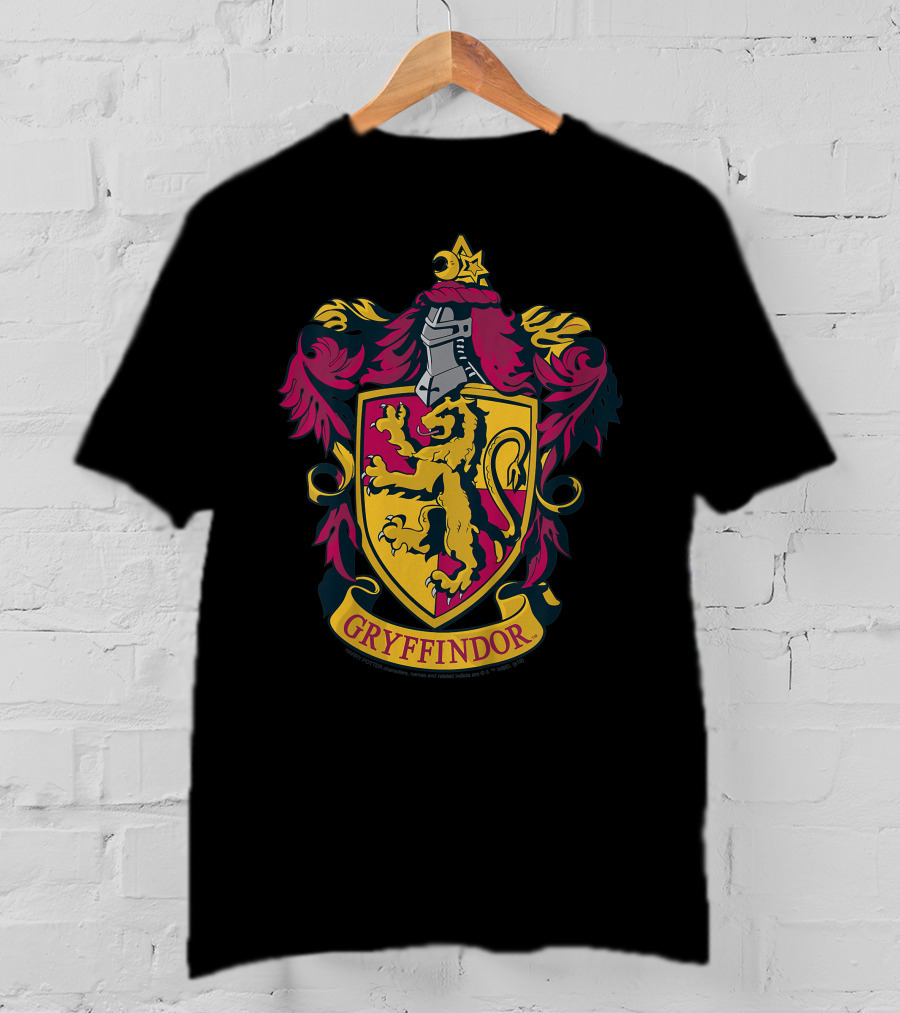 Gryffindor Only Today T-Shirt