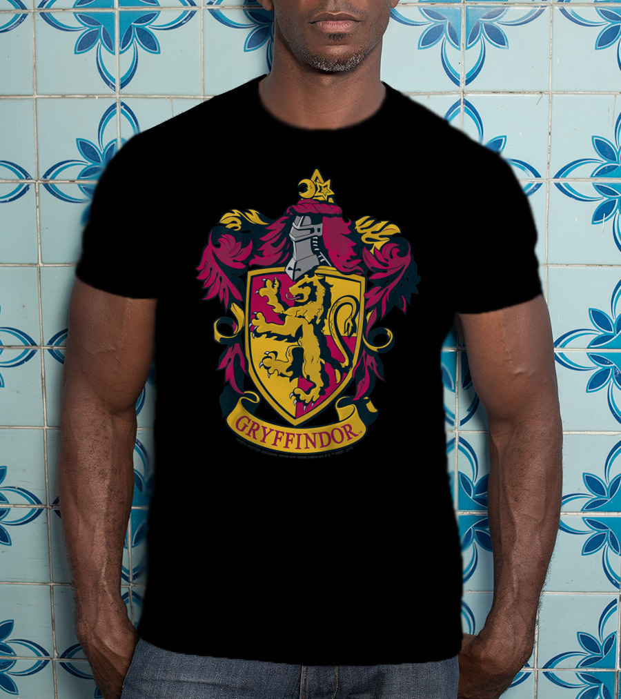 Gryffindor Only Today T-Shirt