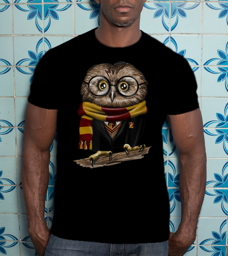 Exclusive Owl Wizard Inspired By Only Today Magic School House Colors T-Shirt