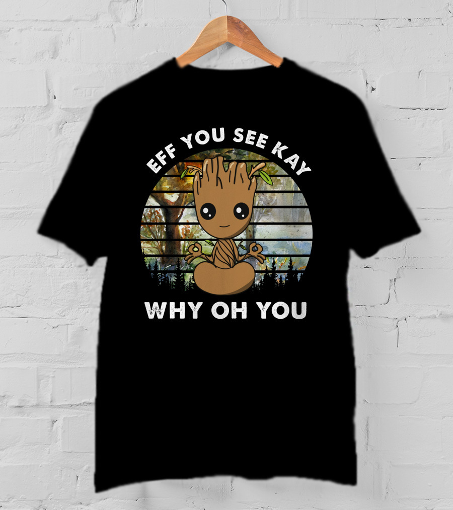 Eff You See Kay Why Oh You Today T-Shirt