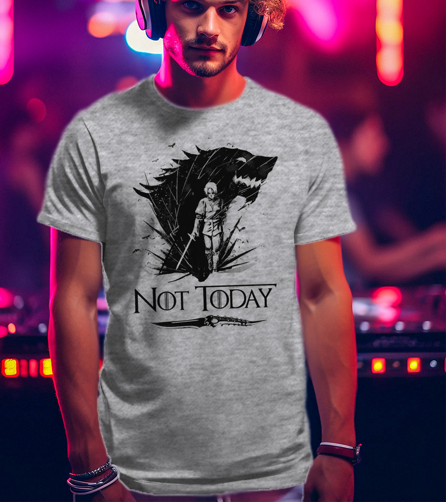 Not Today Wolf Sword Warrior Art ZN4 T-Shirt