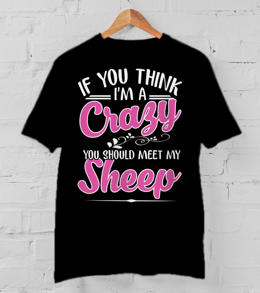 If You Think I'm A Crazy You Should Meet My Sheep Playful Text T-Shirt