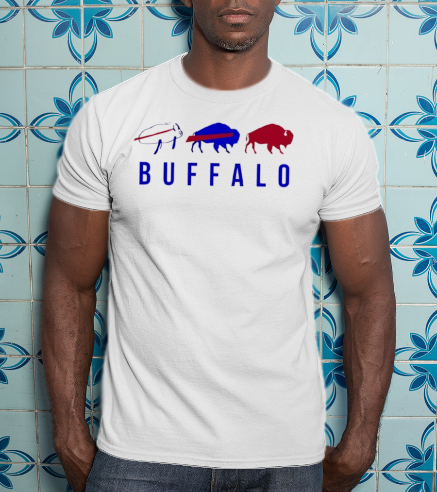 Buffalo Bills Evolution Vintage Retro Styles T-Shirt