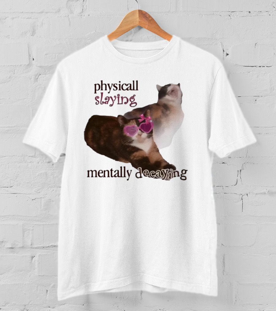 ```Snazzyseagull Physically Slaying Mentally Decaying Cat With Pink Heart Sunglasses``` T-Shirt