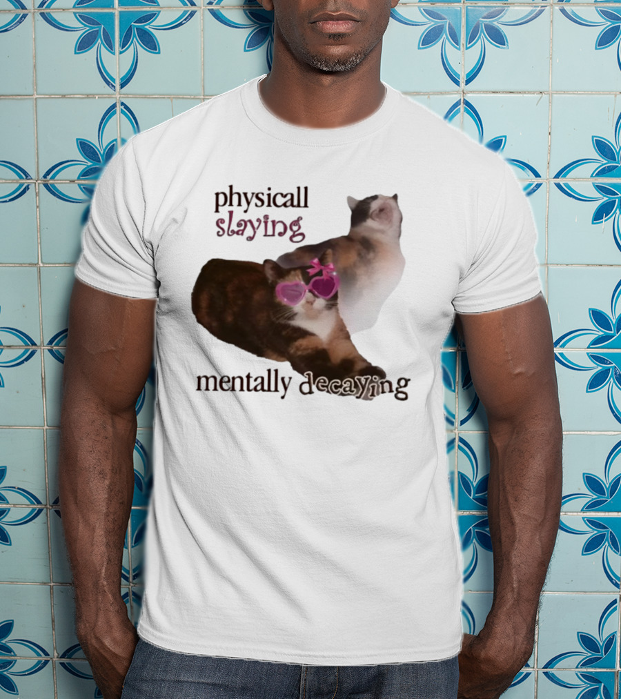 ```Snazzyseagull Physically Slaying Mentally Decaying Cat With Pink Heart Sunglasses``` T-Shirt