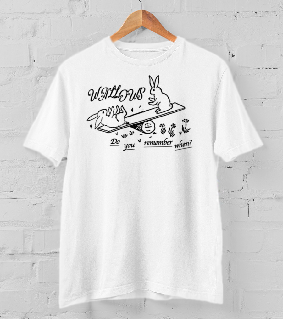 Wallows Remember When Rabbit Skateboarding T-Shirt