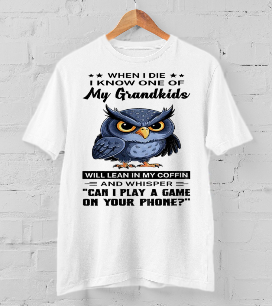Owl When I Die Grandkids Whisper Can I Play A Game T-Shirt