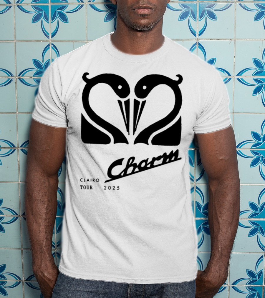 Charm Swan Europe Tour 23 Concert Aesthetic Retro Swans T-Shirt