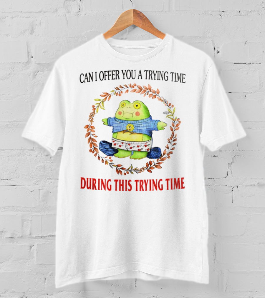 Can I Offer You A Trying Time During This Trying Time Funny Frog Meme T-Shirt
