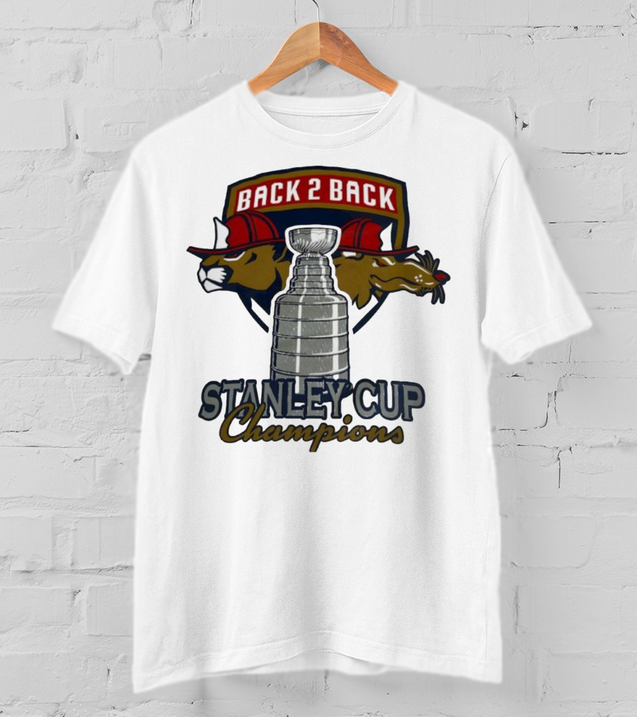 Back 2 Back Florida Panthers Stanley Cup Champions T-Shirt
