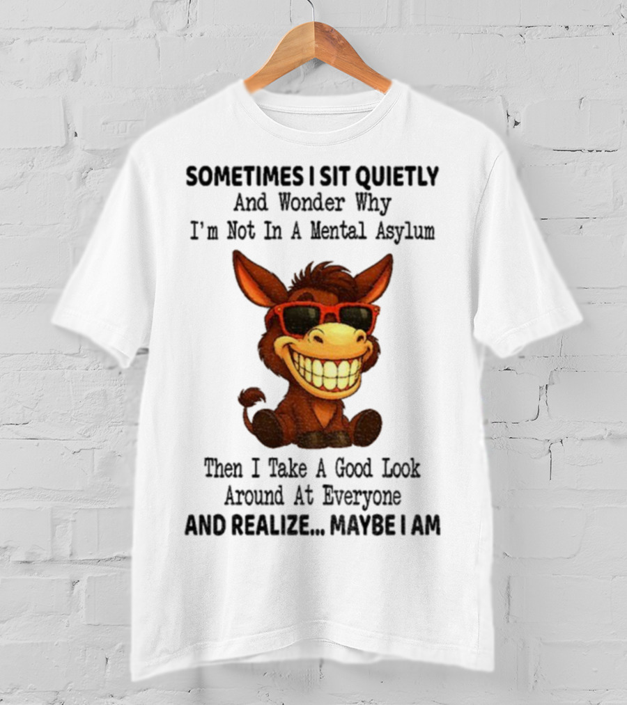 Sometimes I Sit Quietly And Wonder Why I'm Not In A Mental Asylum Then I Take A Good Look Around At Everyone And Realize Maybe I Am Donkey Meme T-Shirt
