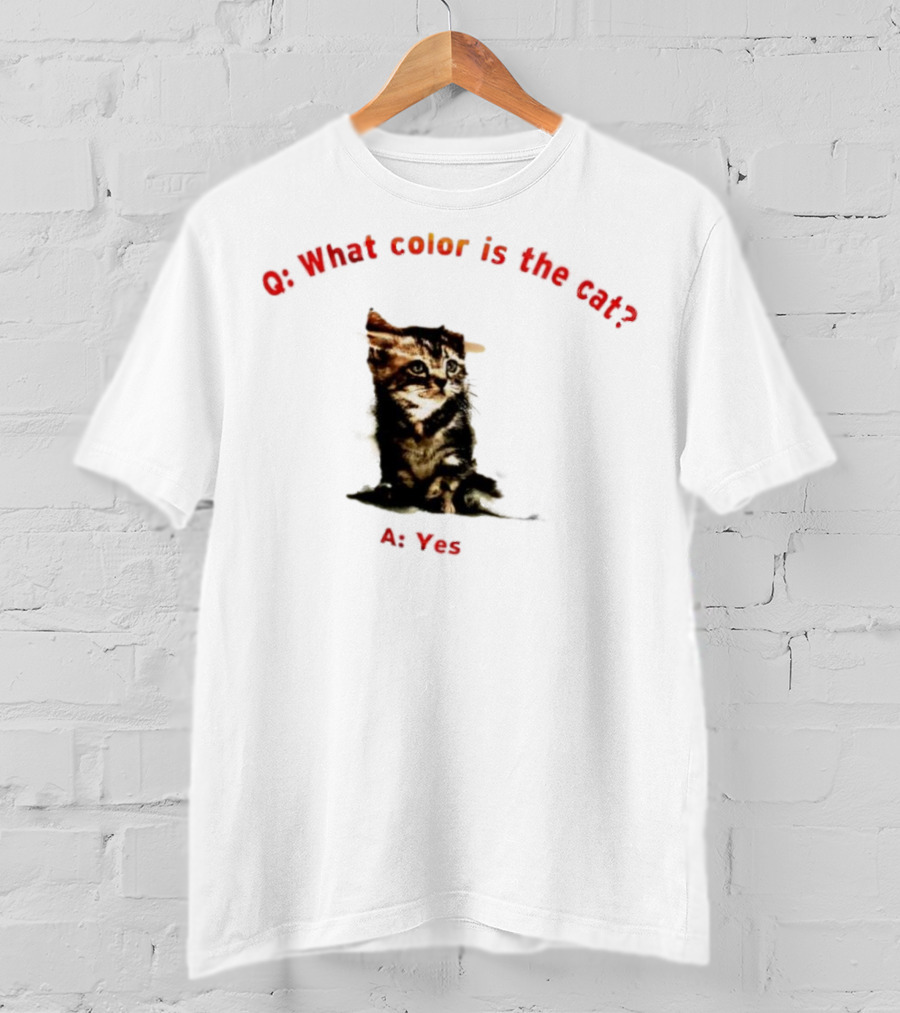 What Color Is The Cat Yes Kitten T-Shirt