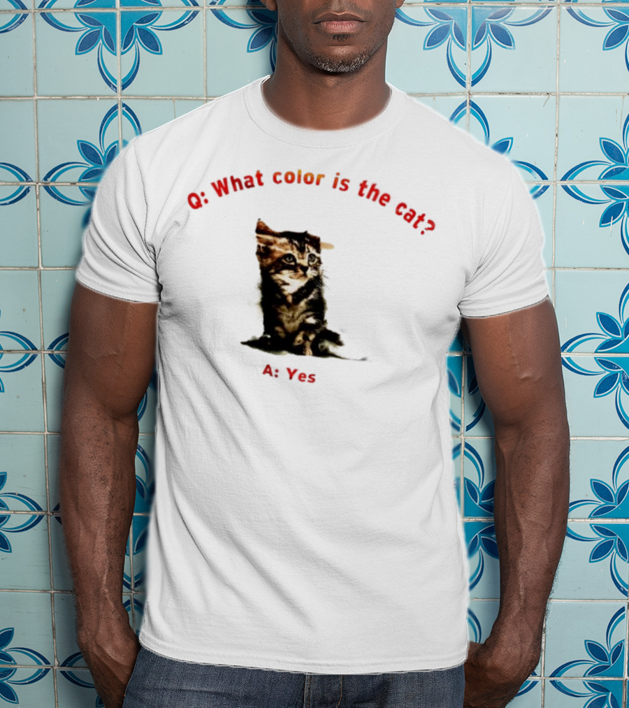 What Color Is The Cat Yes Kitten T-Shirt