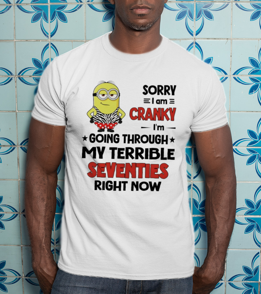 Sorry I Am Cranky Going Through My Terrible Seventies Minion T-Shirt