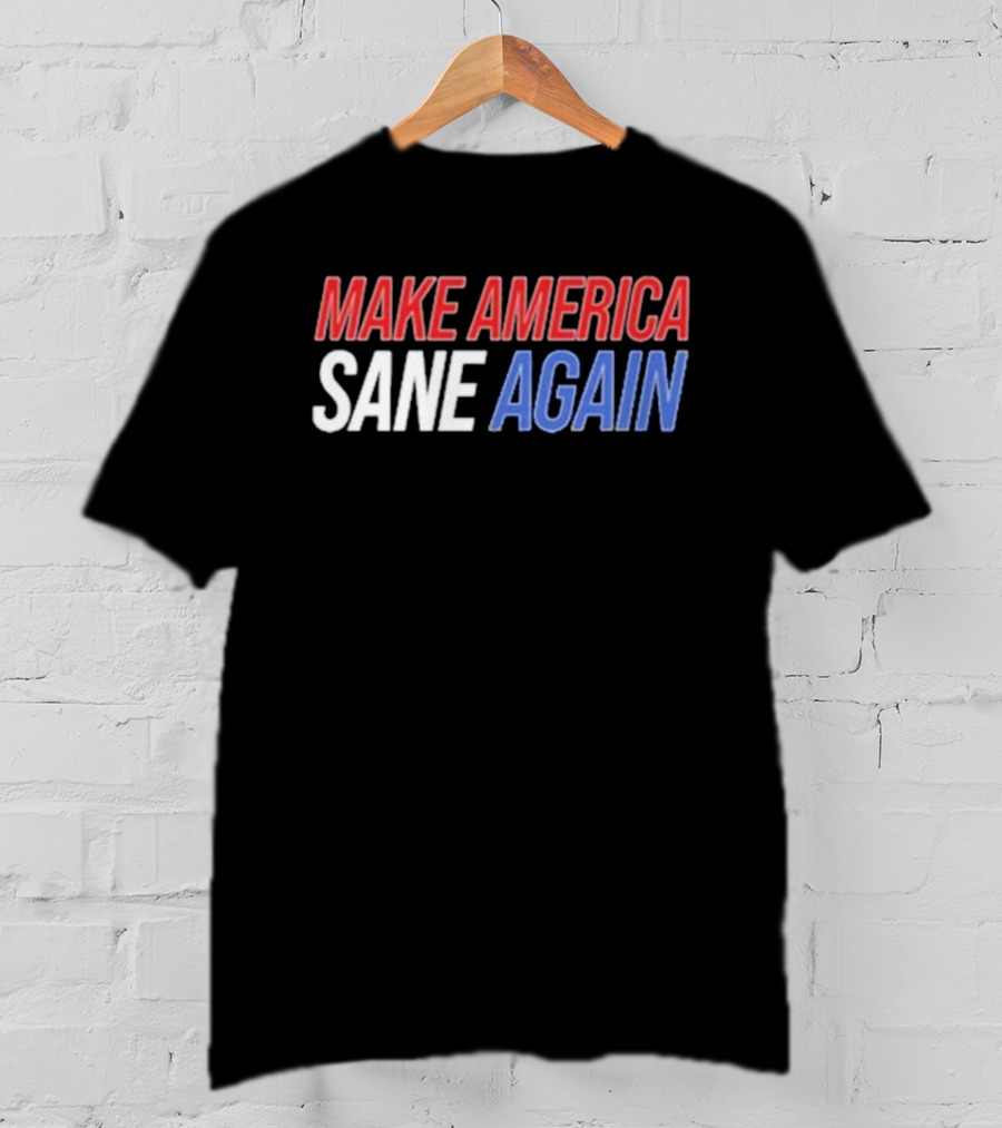 Duke Gomez Make America Sane Again Red White Blue Text T-Shirt