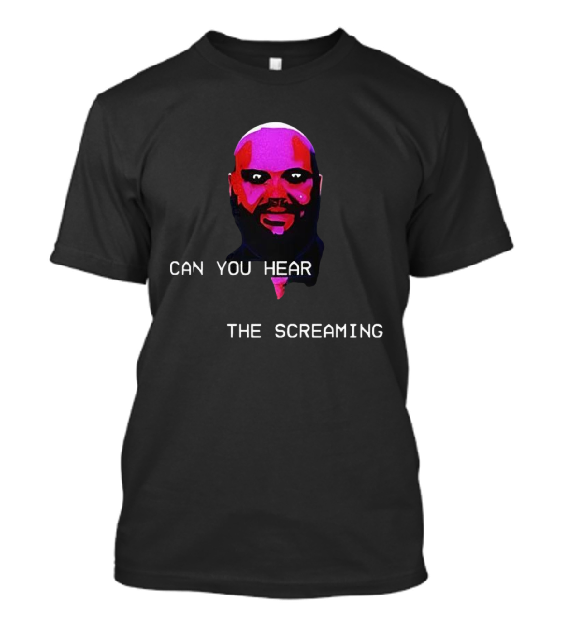 Can You Hear The Screaming Jd Vance Meme T-Shirt