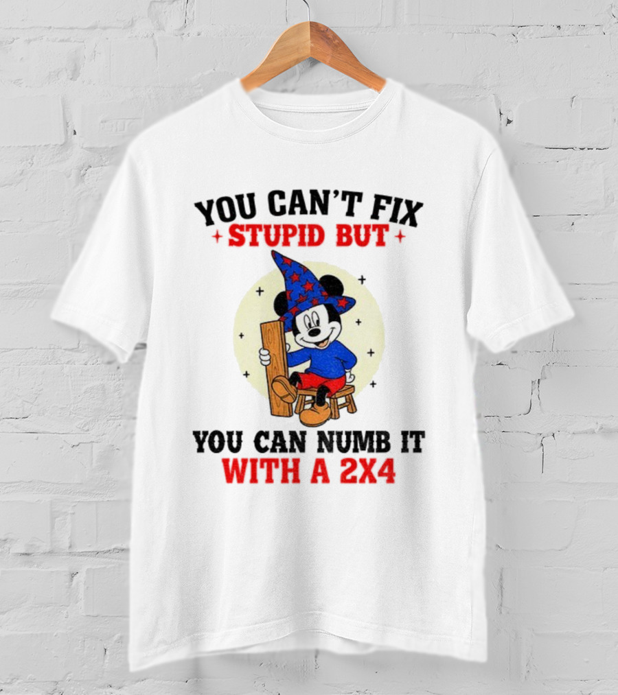 You Can't Fix Stupid But You Can Numb It With A 2x4 Mickey Witch T-Shirt