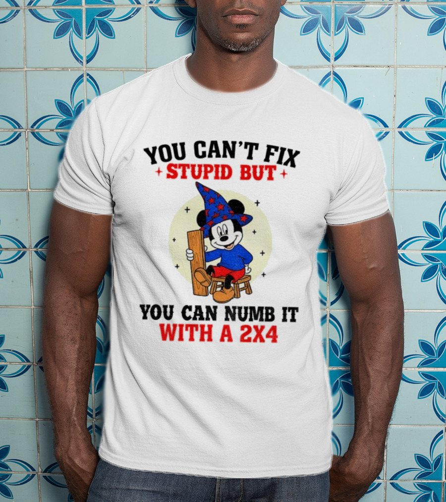 You Can't Fix Stupid But You Can Numb It With A 2x4 Mickey Witch T-Shirt