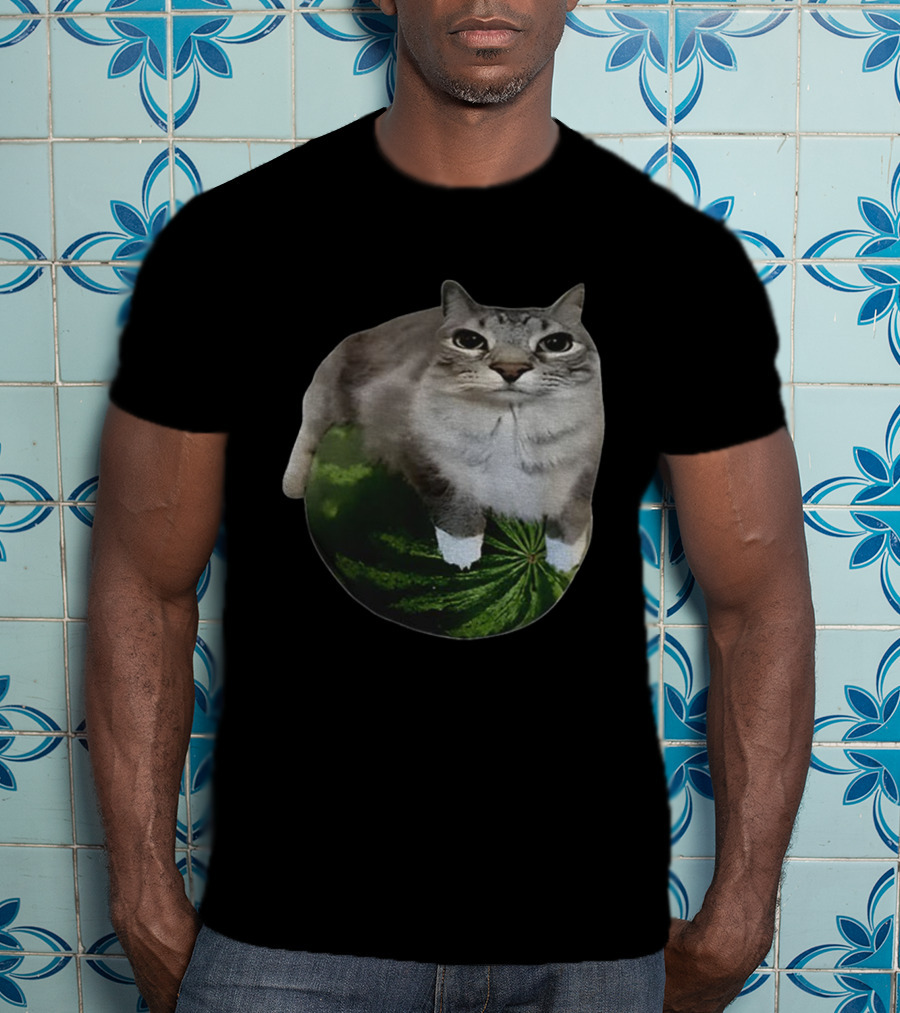 Watermelon Cat Meme Humor Collage T-Shirt
