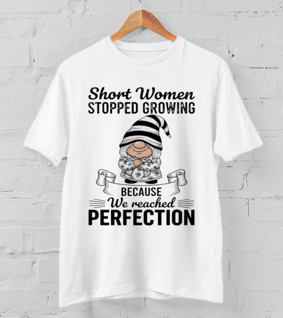 Short Women Stopped Growing We Reached Perfection Gnome Sweater Striped Hat T-Shirt