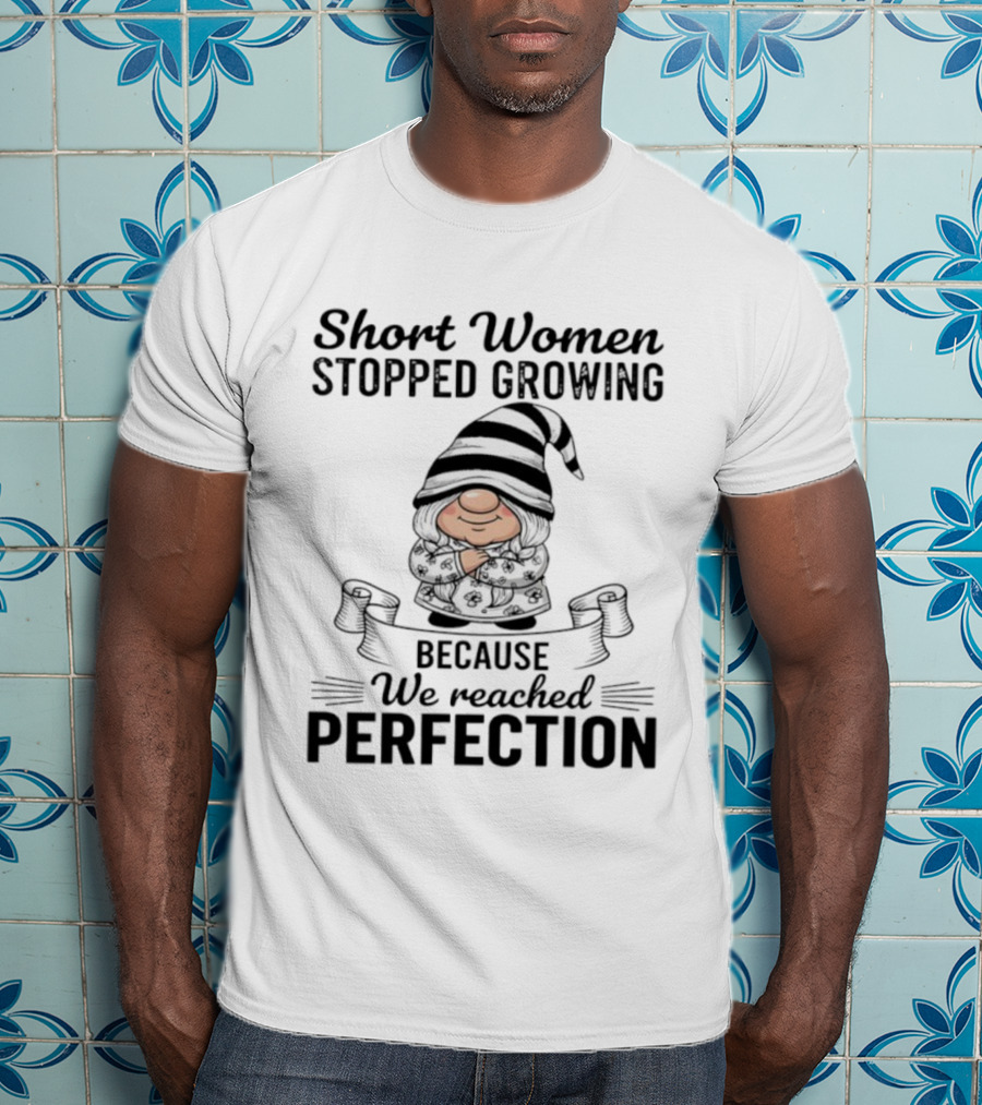 Short Women Stopped Growing We Reached Perfection Gnome Sweater Striped Hat T-Shirt