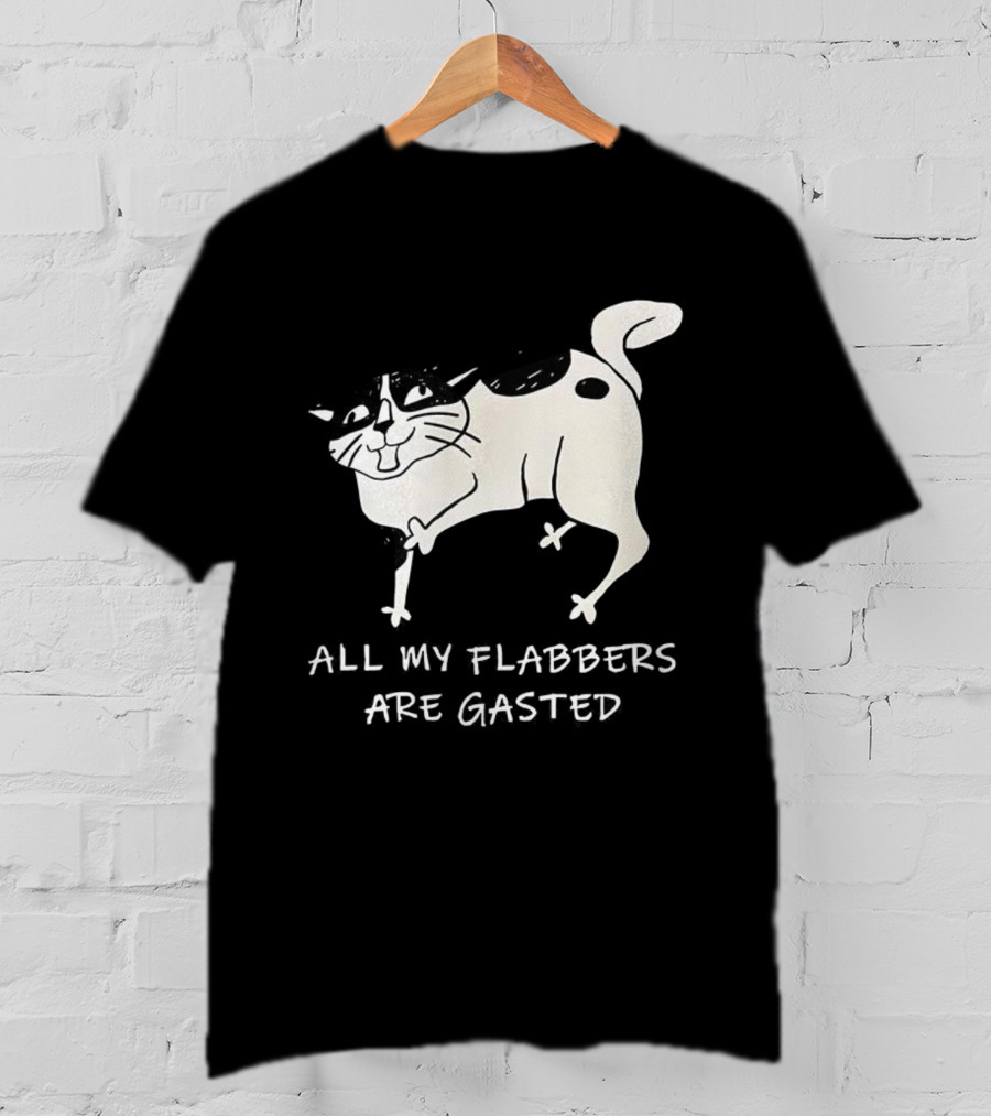 Surprised Cat All My Flabbers Are Gasted Sketch T-Shirt
