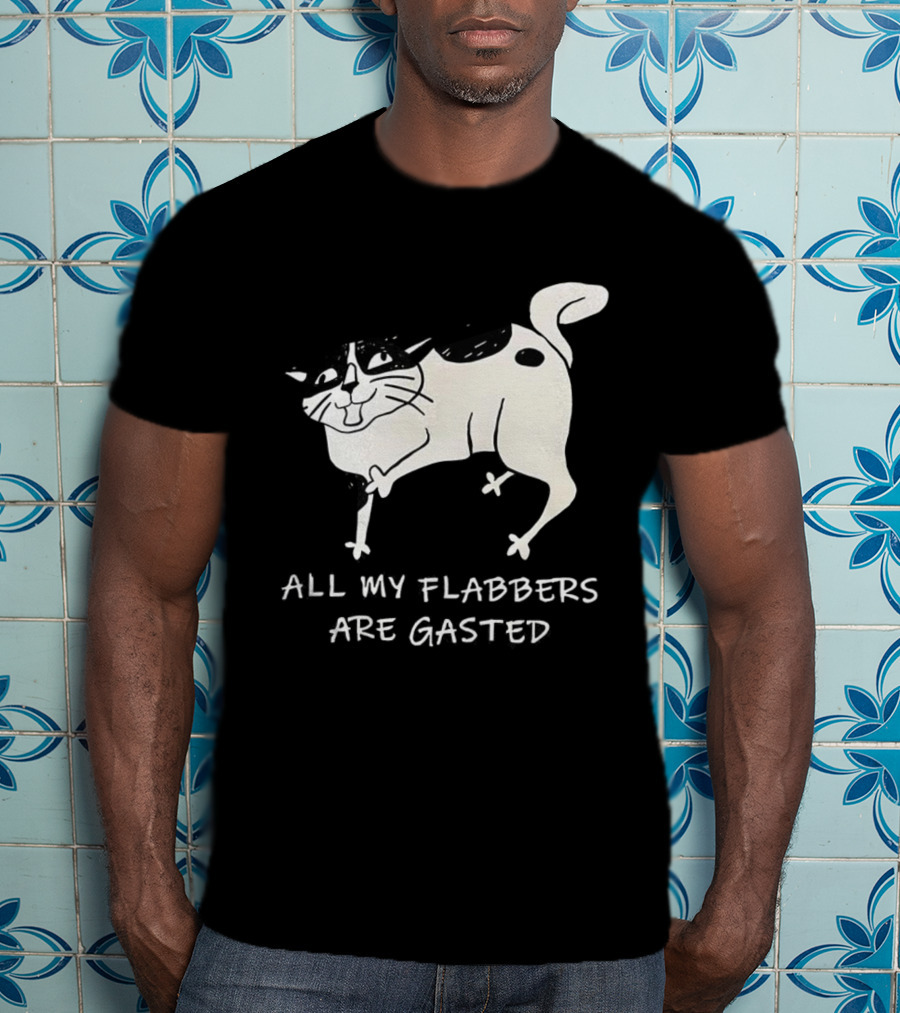Surprised Cat All My Flabbers Are Gasted Sketch T-Shirt