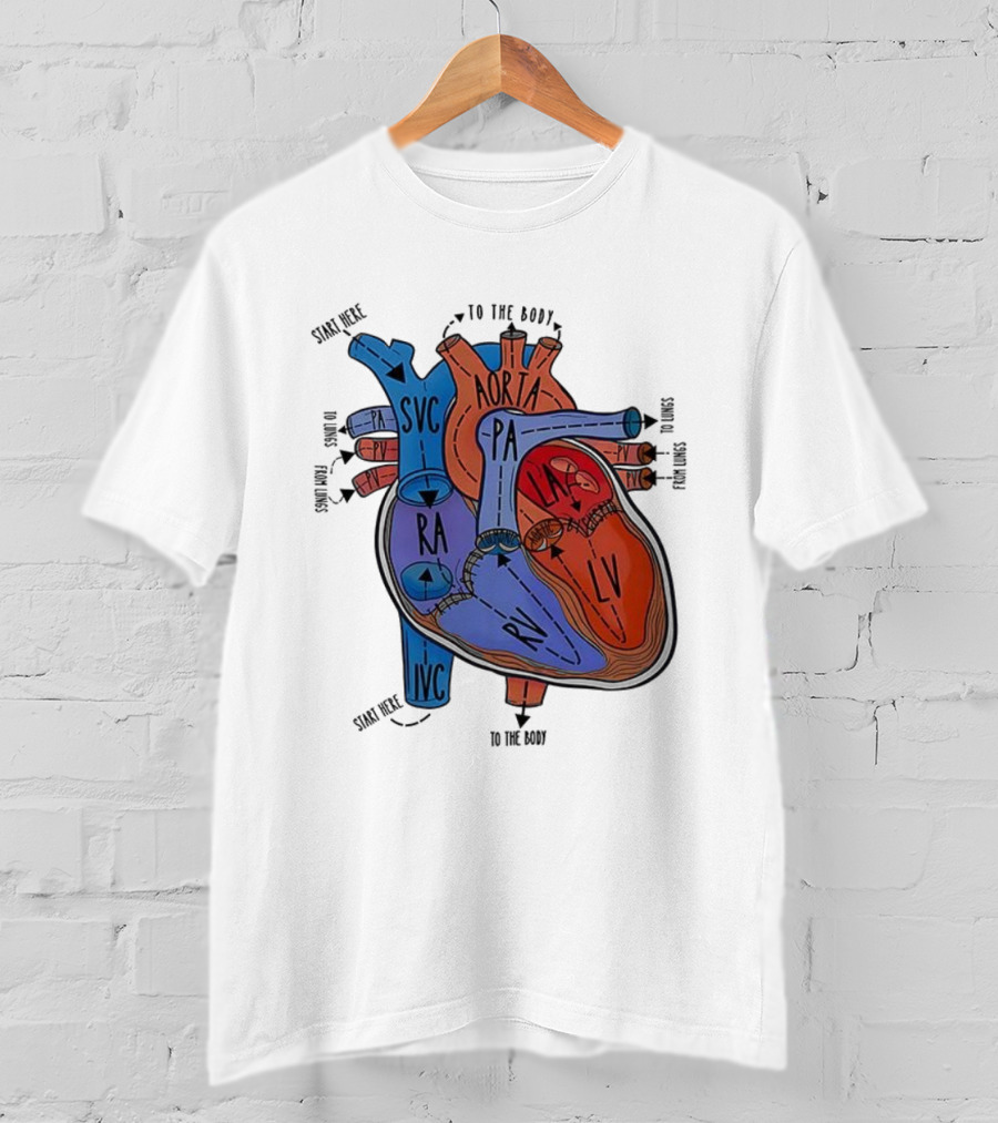 Heart Anatomy Blood Flow SVC RA RV IVC Aorta PA PV LA LV T-Shirt