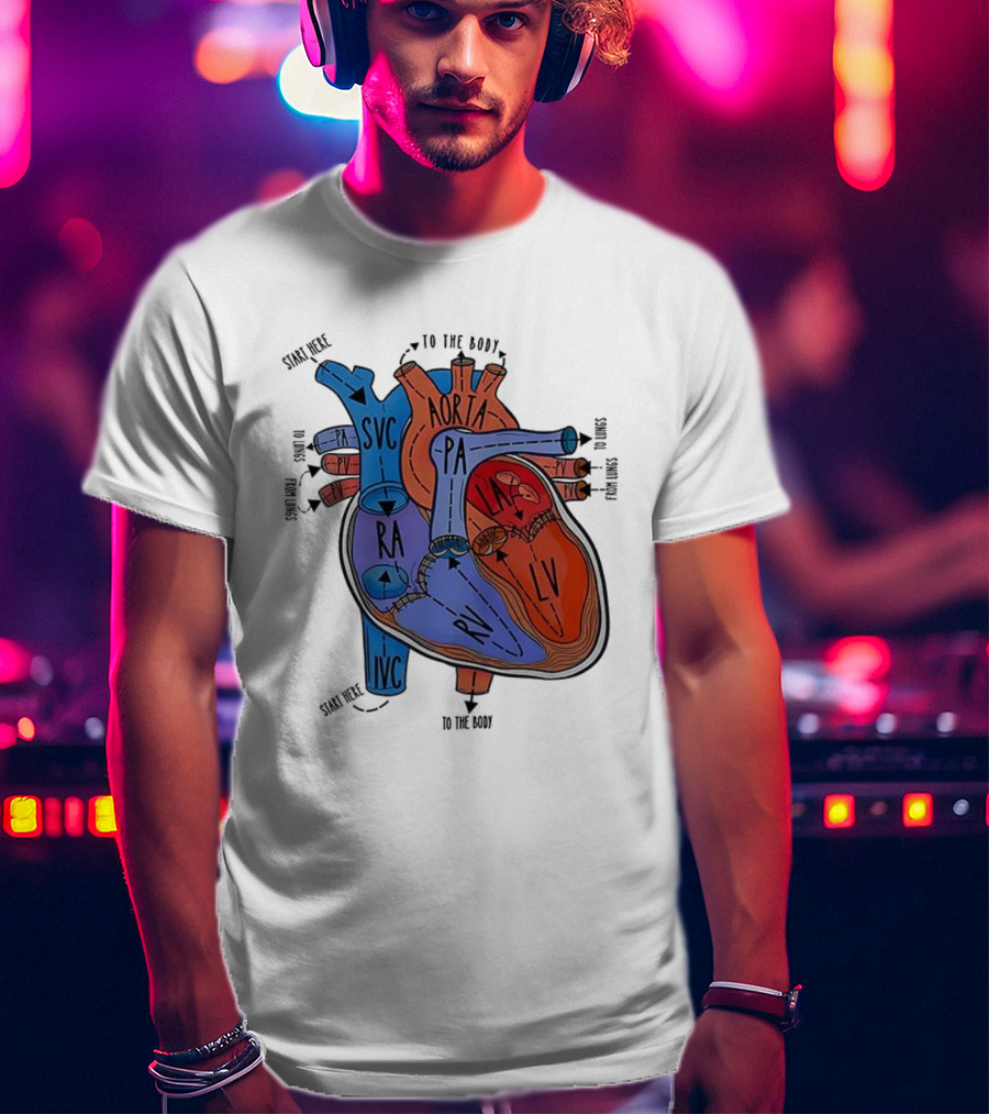Heart Anatomy Blood Flow SVC RA RV IVC Aorta PA PV LA LV T-Shirt