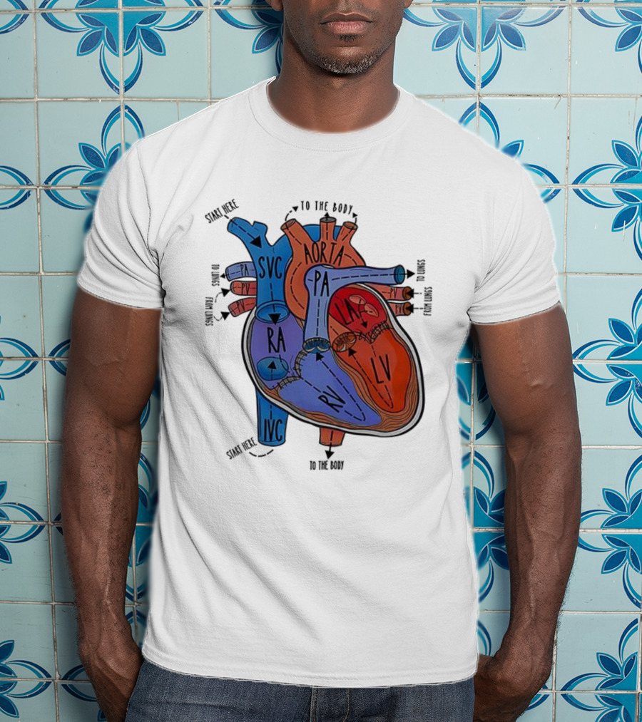 Heart Anatomy Blood Flow SVC RA RV IVC Aorta PA PV LA LV T-Shirt