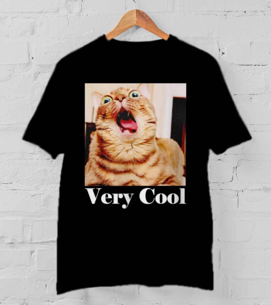 Silly Cat Meme Humor Very Cool Funny Cats T-Shirt