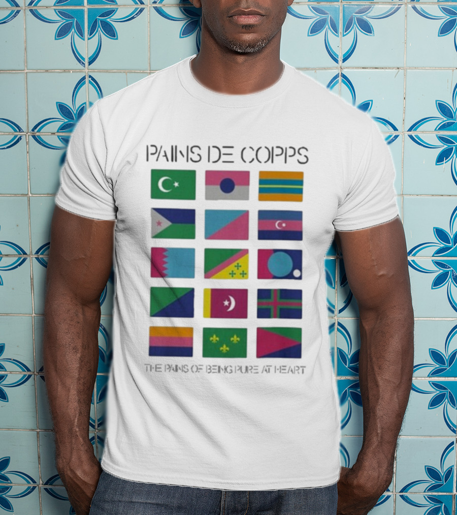 Pains De Corps The Pains Of Being Pure At Heart Flags T-Shirt