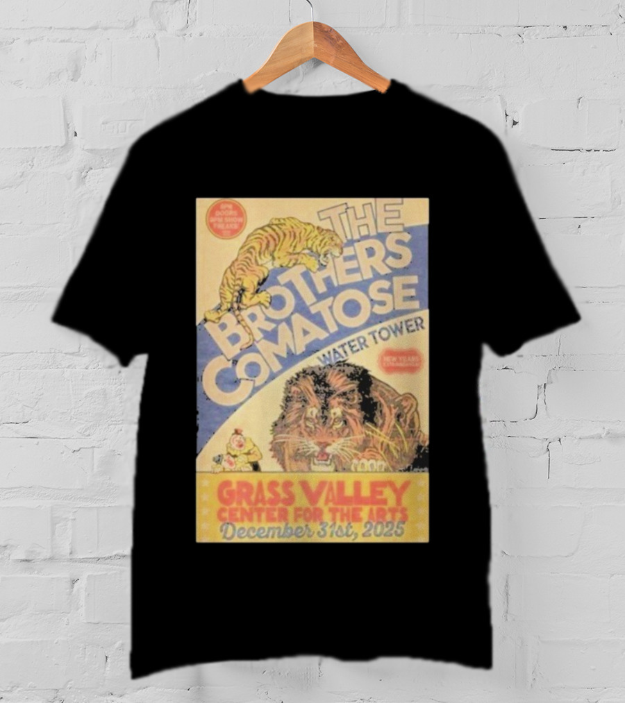 The Brothers Comatose Water Tower New Year Grass Valley Center For The Arts December 31st 2025 T-Shirt