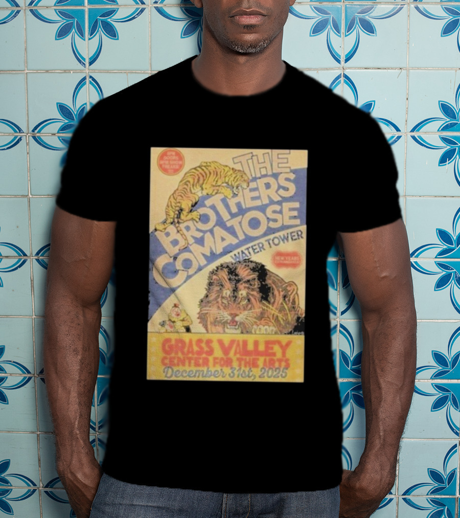 The Brothers Comatose Water Tower New Year Grass Valley Center For The Arts December 31st 2025 T-Shirt