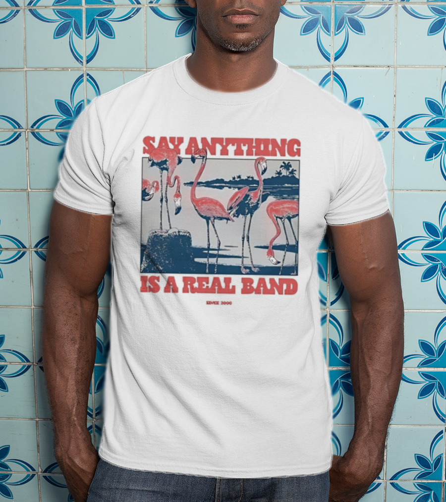 Say Anything Flamingo Is A Real Band Since 2000 T-Shirt