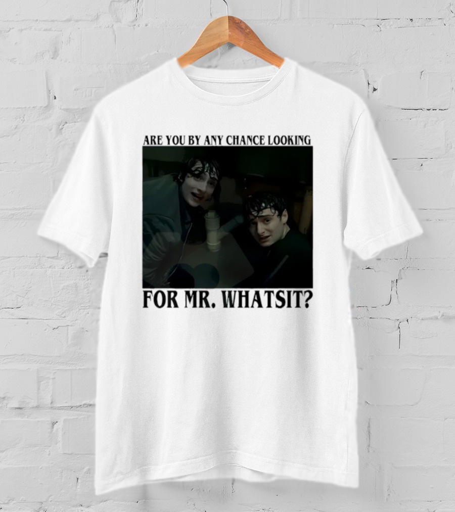 Mike And Will Are You By Any Chance Looking For Mr. Whatsit Stranger 1980s Adventure Fantasy T-Shirt
